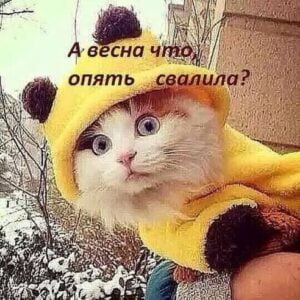 Знакомства Александровск Мария собеседник на час 7961
